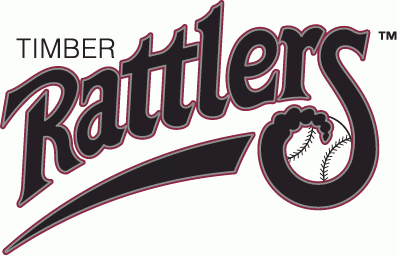Wisconsin Timber Rattlers 1995-2010 primary logo iron on transfers for T-shirts